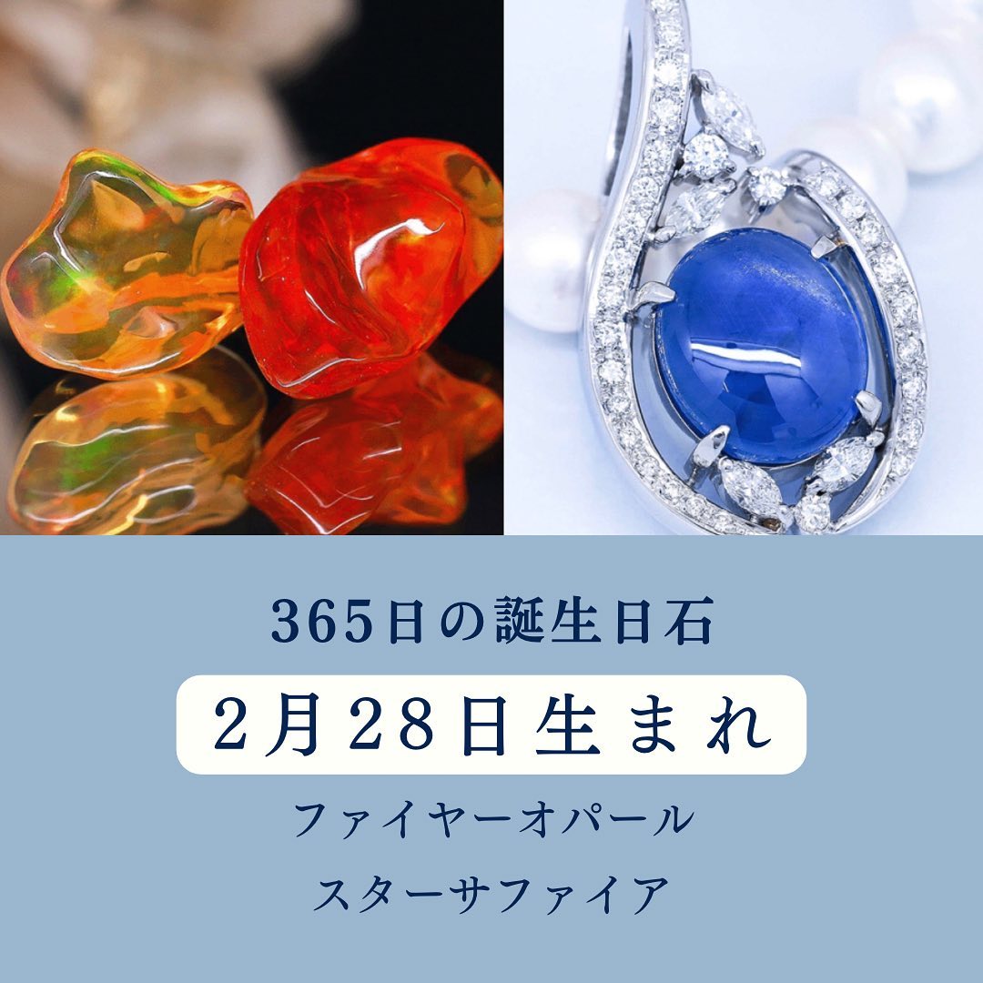 紫寶珠『愛の誕生花占い』 シオンの花言葉｜名前の由来 ｜ 花言葉・誕生花｜HanaPrime